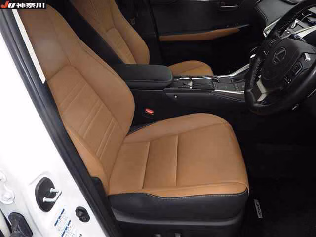 Lexus NX300