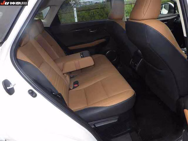 Lexus NX300