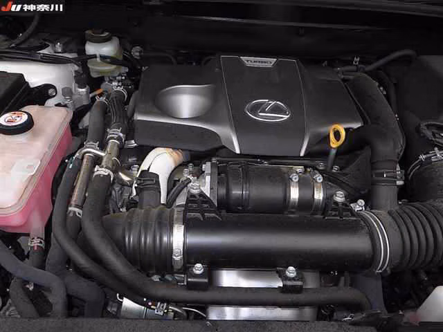 Lexus NX300
