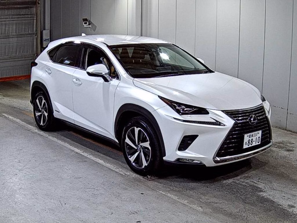 LEXUS NX300