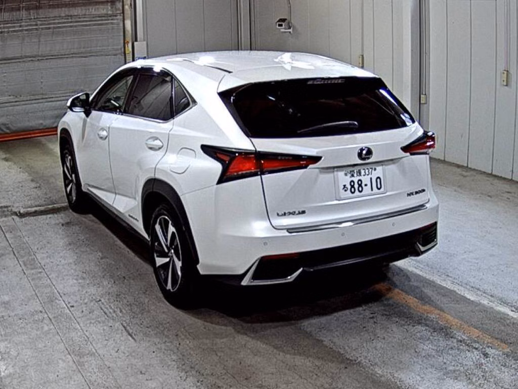 LEXUS NX300