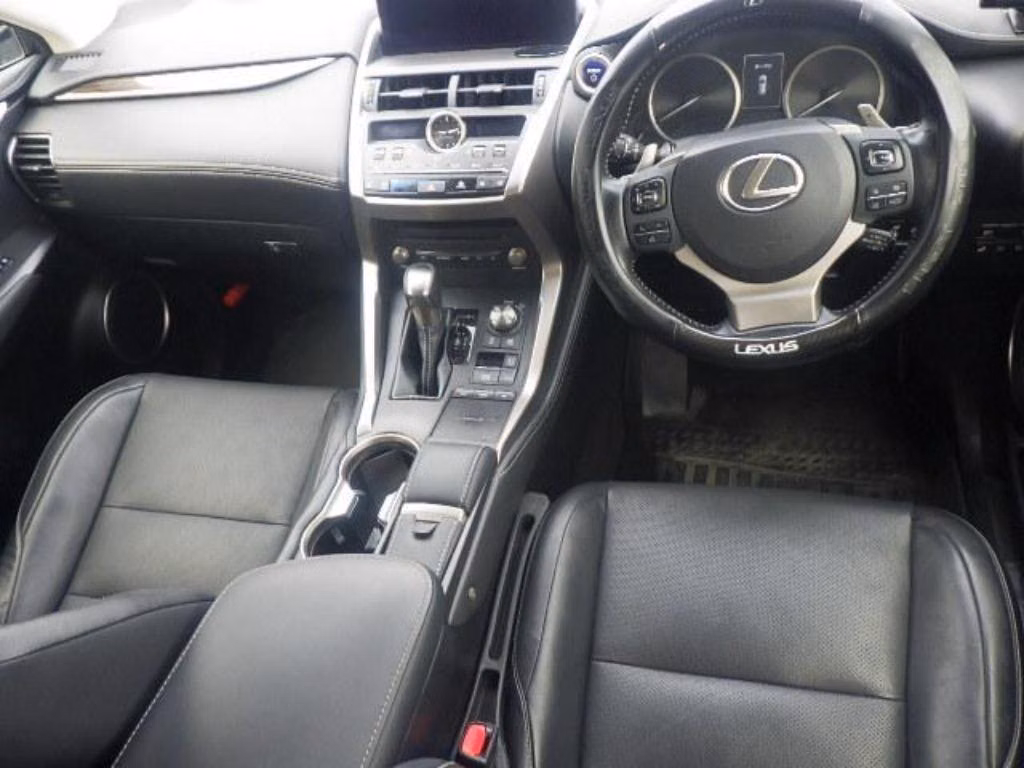 LEXUS NX300