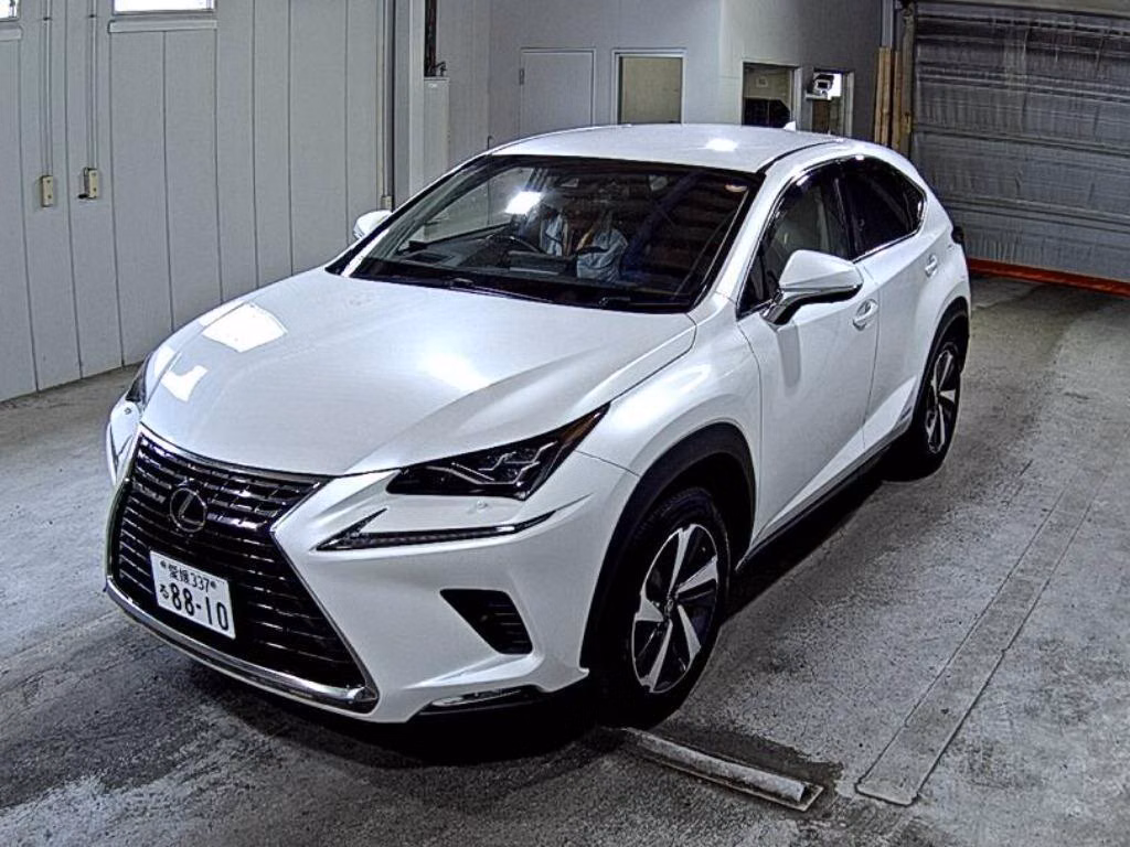 LEXUS NX300