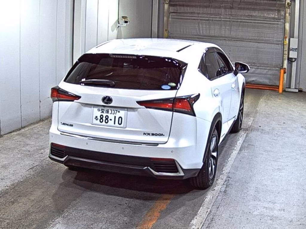 LEXUS NX300