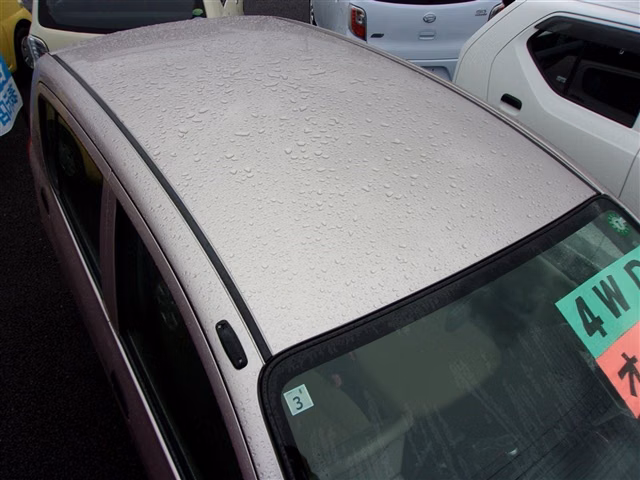 Subaru Pleo