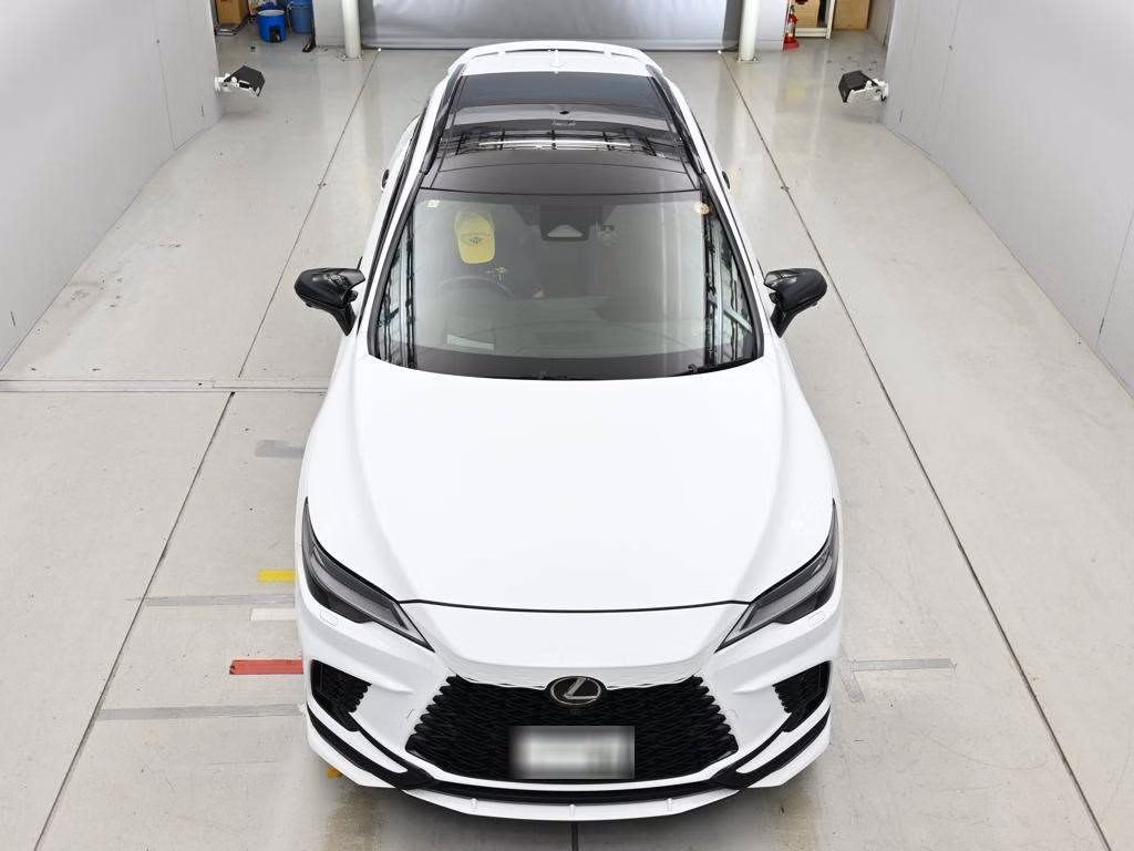 Lexus RX500h