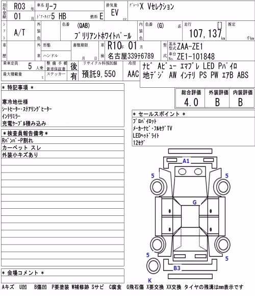 NISSAN LEAF