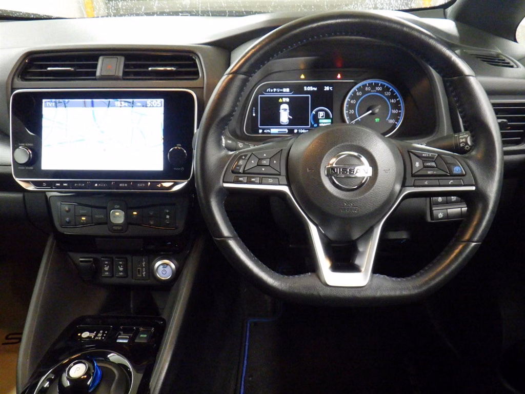 NISSAN LEAF