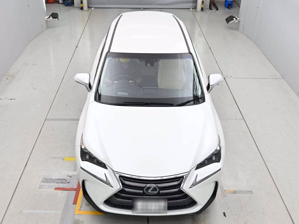 Lexus NX300h