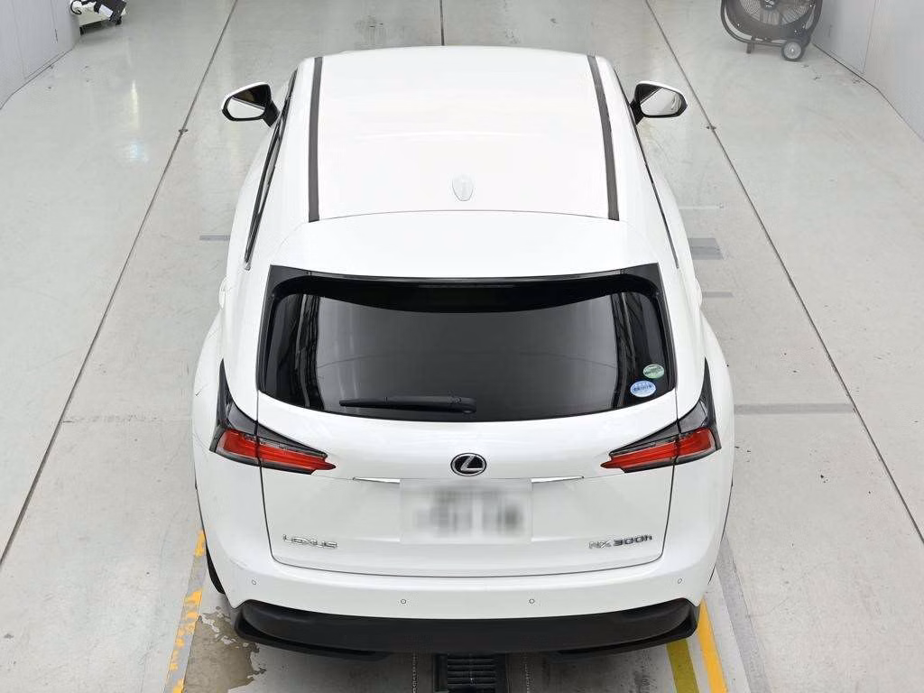 Lexus NX300h