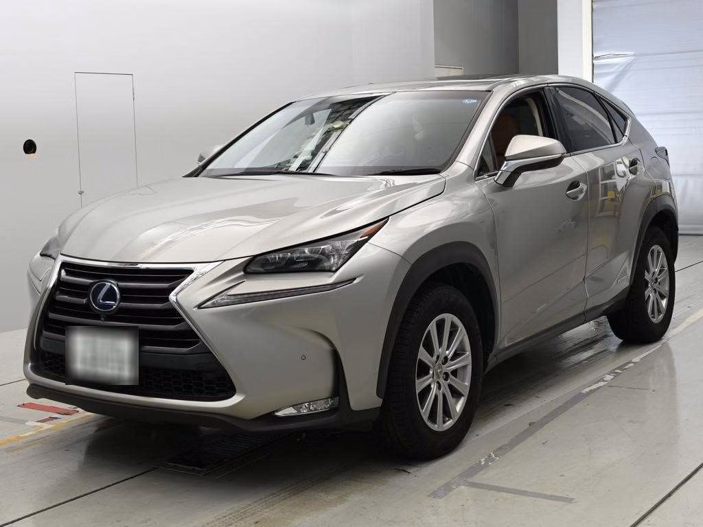 LEXUS NX300