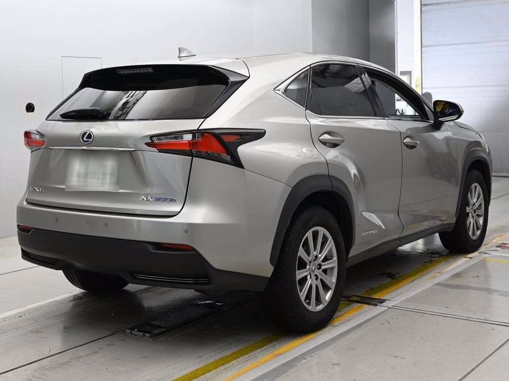 LEXUS NX300