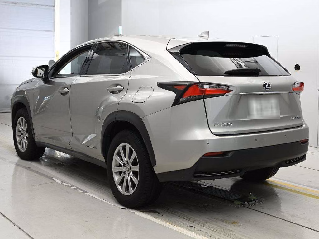 LEXUS NX300