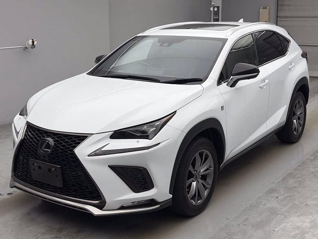 LEXUS NX300