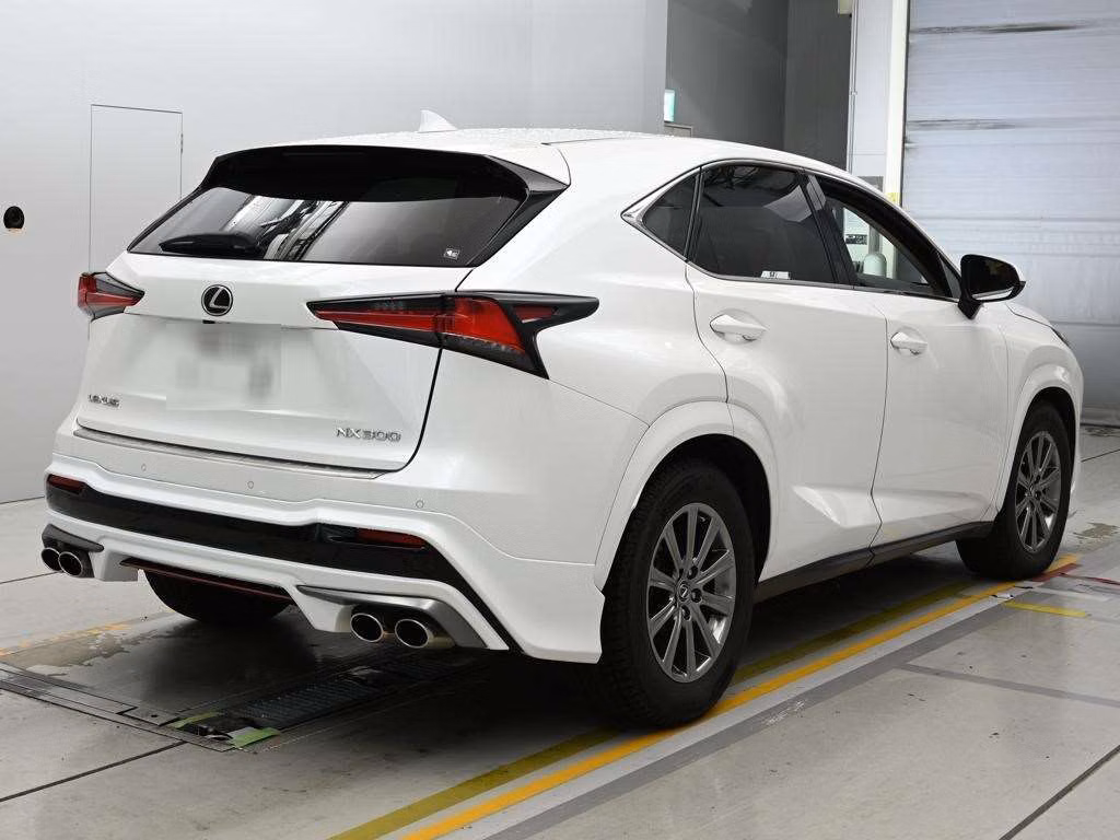 LEXUS NX300