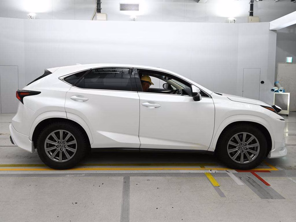 LEXUS NX300