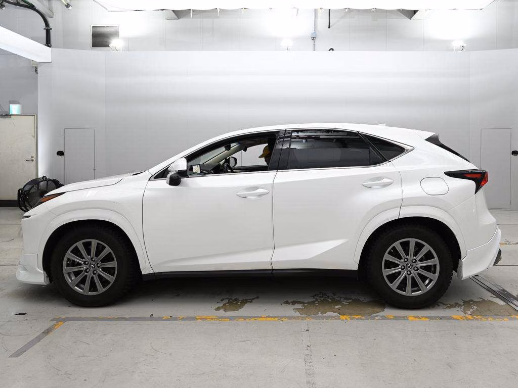LEXUS NX300