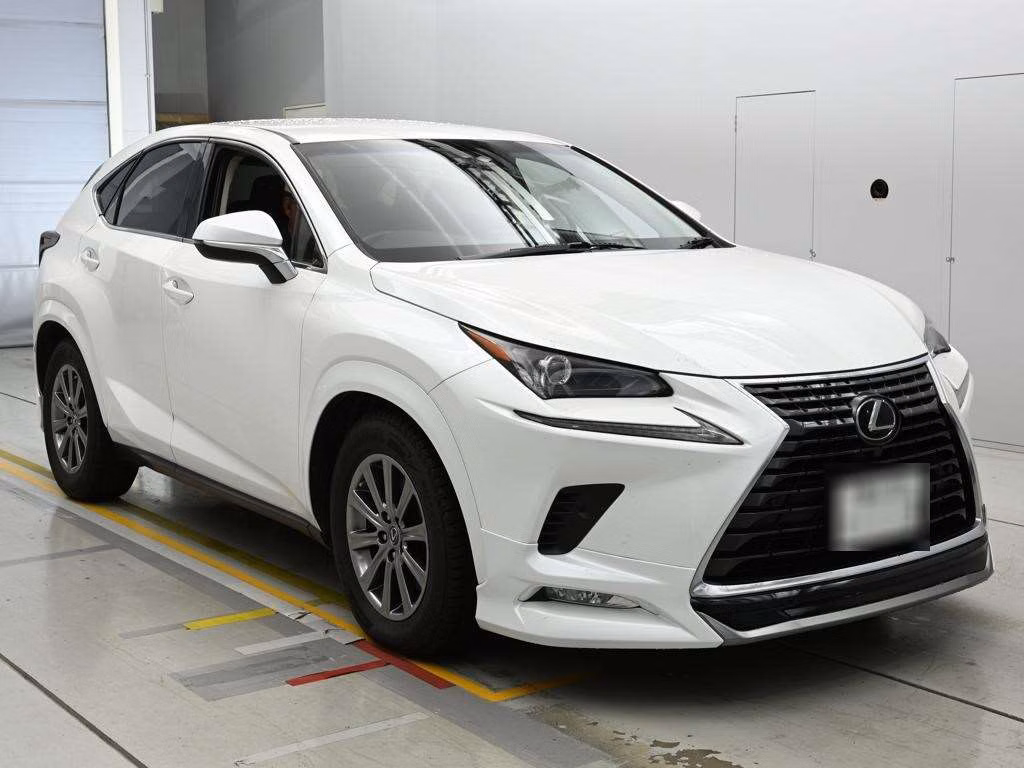 LEXUS NX300