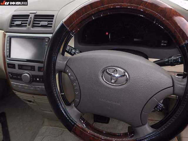 Toyota Ipsum