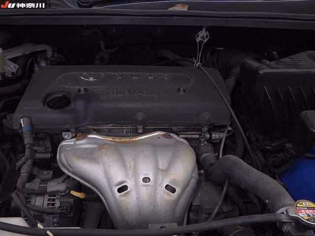Toyota Ipsum
