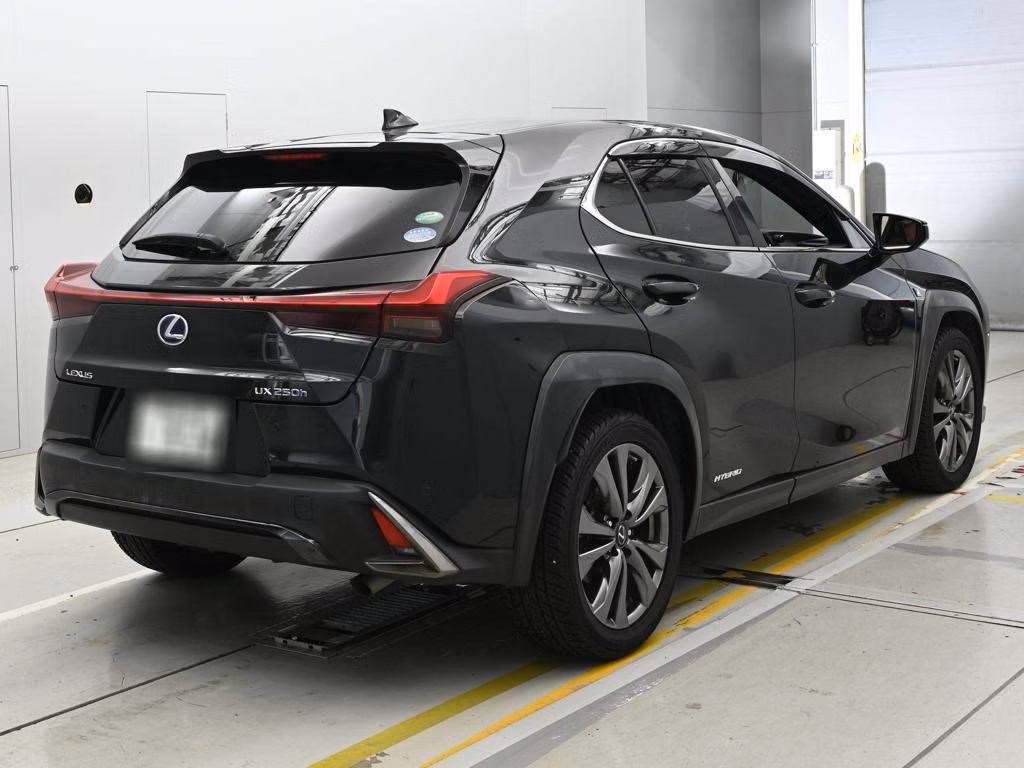 LEXUS UX250H