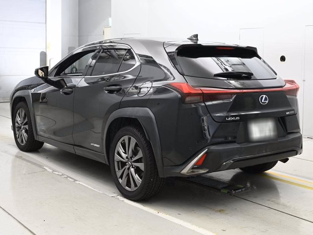 LEXUS UX250H