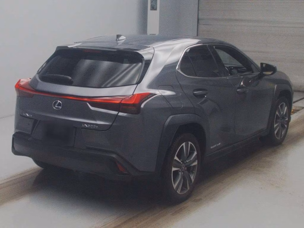 Lexus UX300e