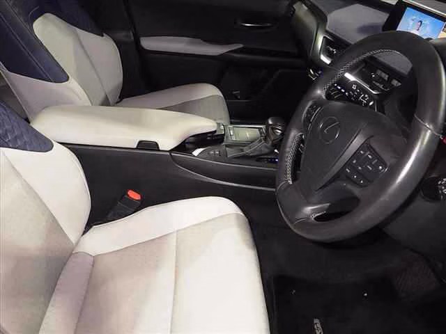 Lexus UX250h