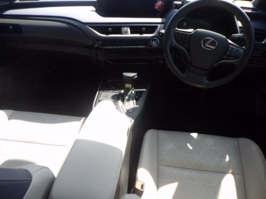 Lexus UX250h