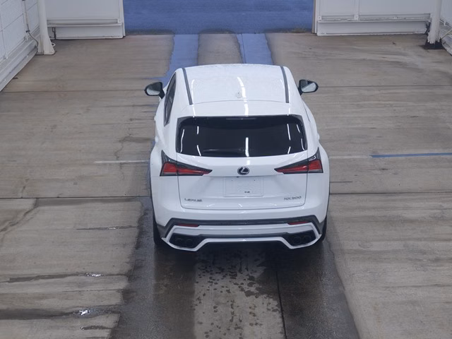 Lexus NX300