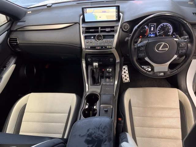 Lexus NX300
