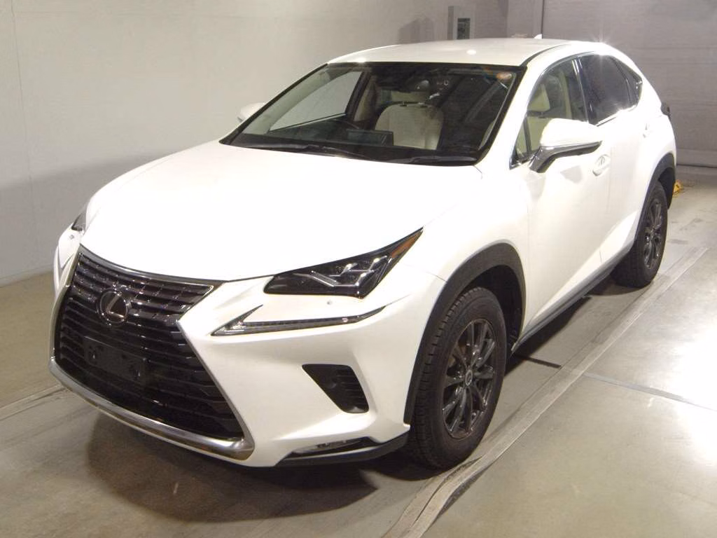 LEXUS NX300