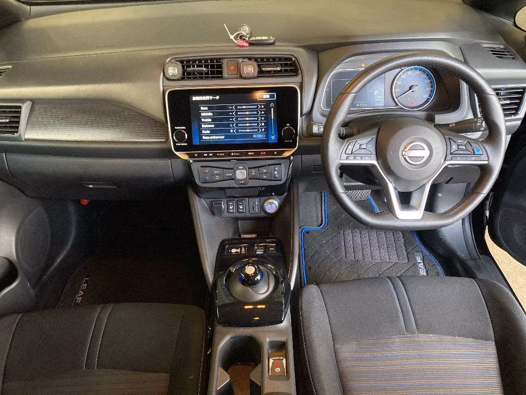 NISSAN LEAF