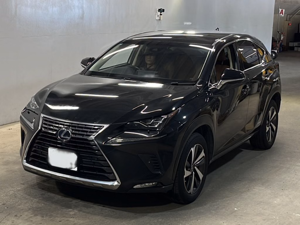 Lexus NX300h