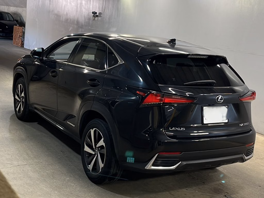 Lexus NX300h