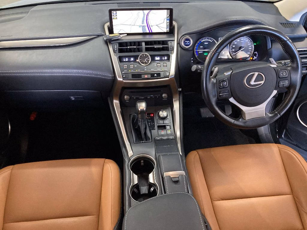 Lexus NX300h