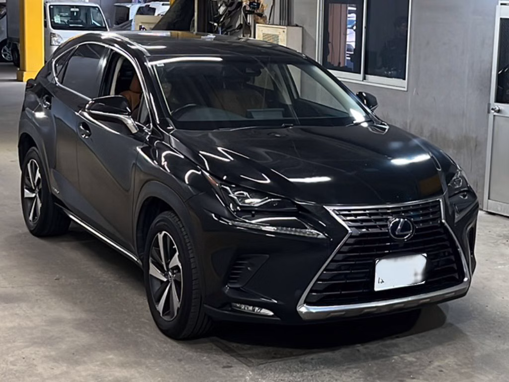 Lexus NX300h