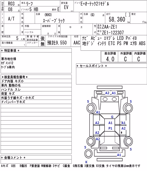 NISSAN LEAF