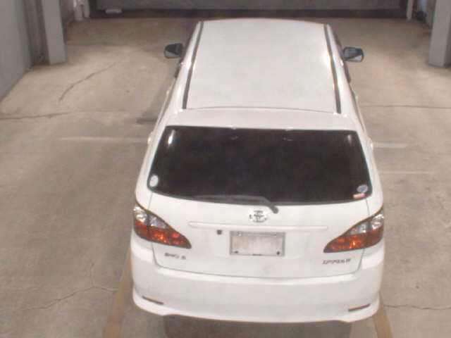 Toyota Ipsum