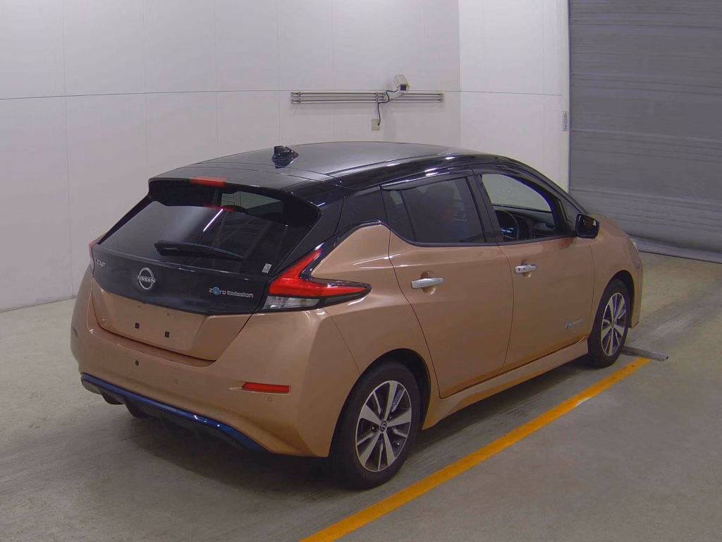 NISSAN LEAF