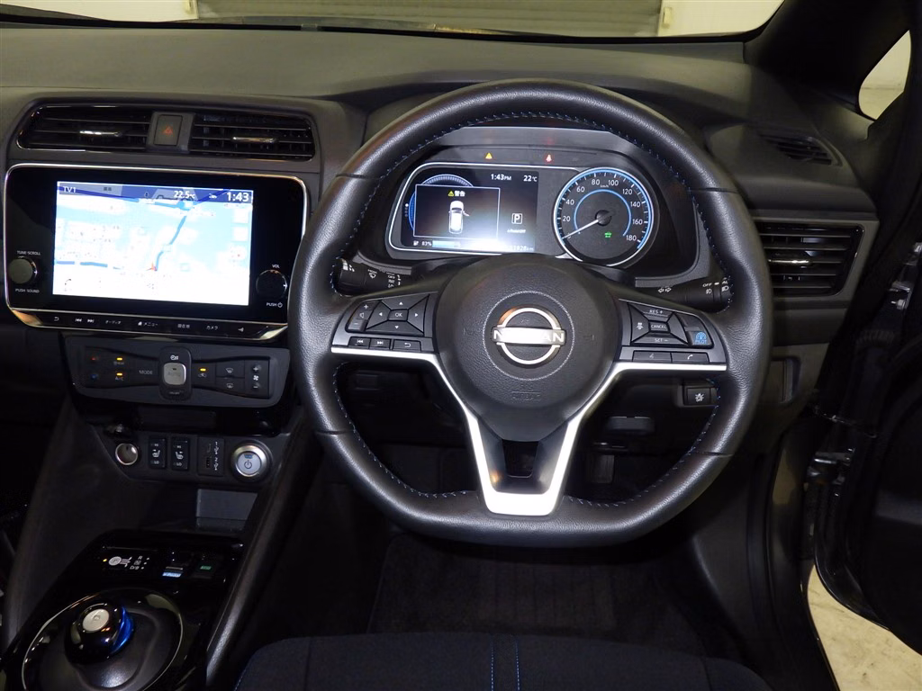 NISSAN LEAF
