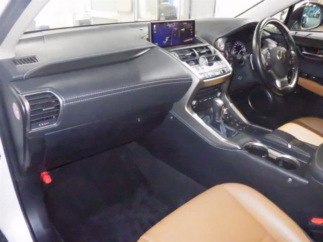 Lexus NX300