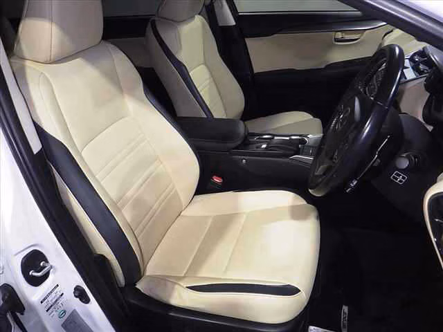 Lexus NX200t