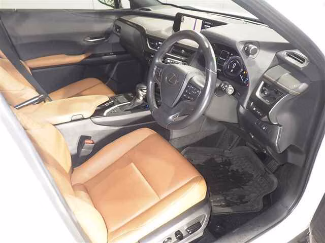 Lexus UX250h