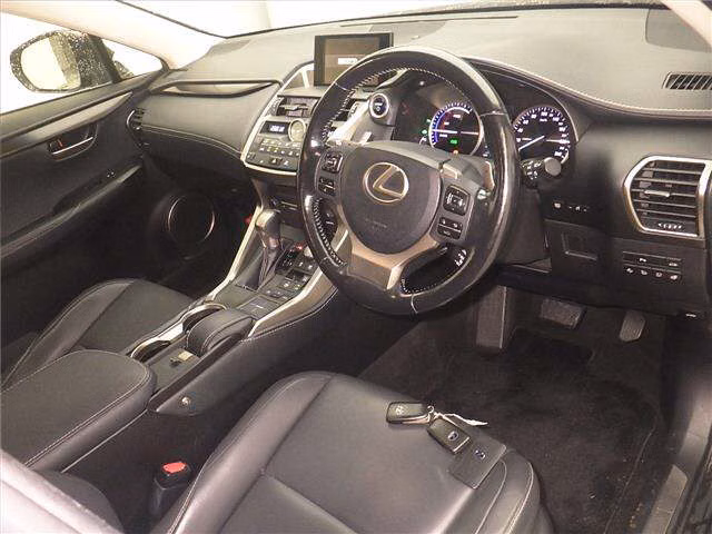 Lexus NX300h