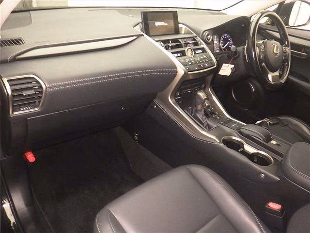 Lexus NX300h