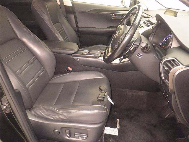 Lexus NX300h