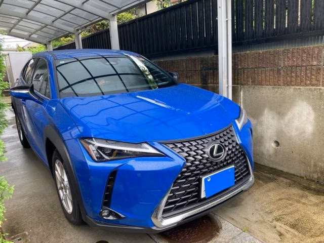 Lexus UX300h, MZAH11, MZAH16