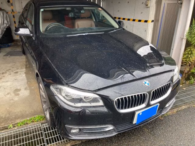 BMW 5-Series, FW20, XG20, XG28, FR35, KN44, FZ35