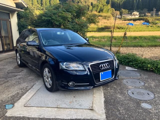 Audi A3, 8PCAX, 8PCDA, 8PCCZF